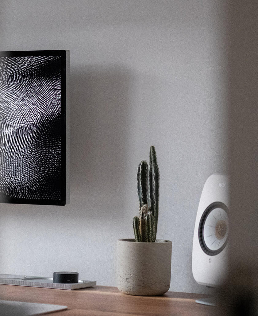 A photograph of a minimal wooden desk in a bright room, featuring a wall-mounted monitor, a tall, potted cactus, and a large, white desktop speaker.